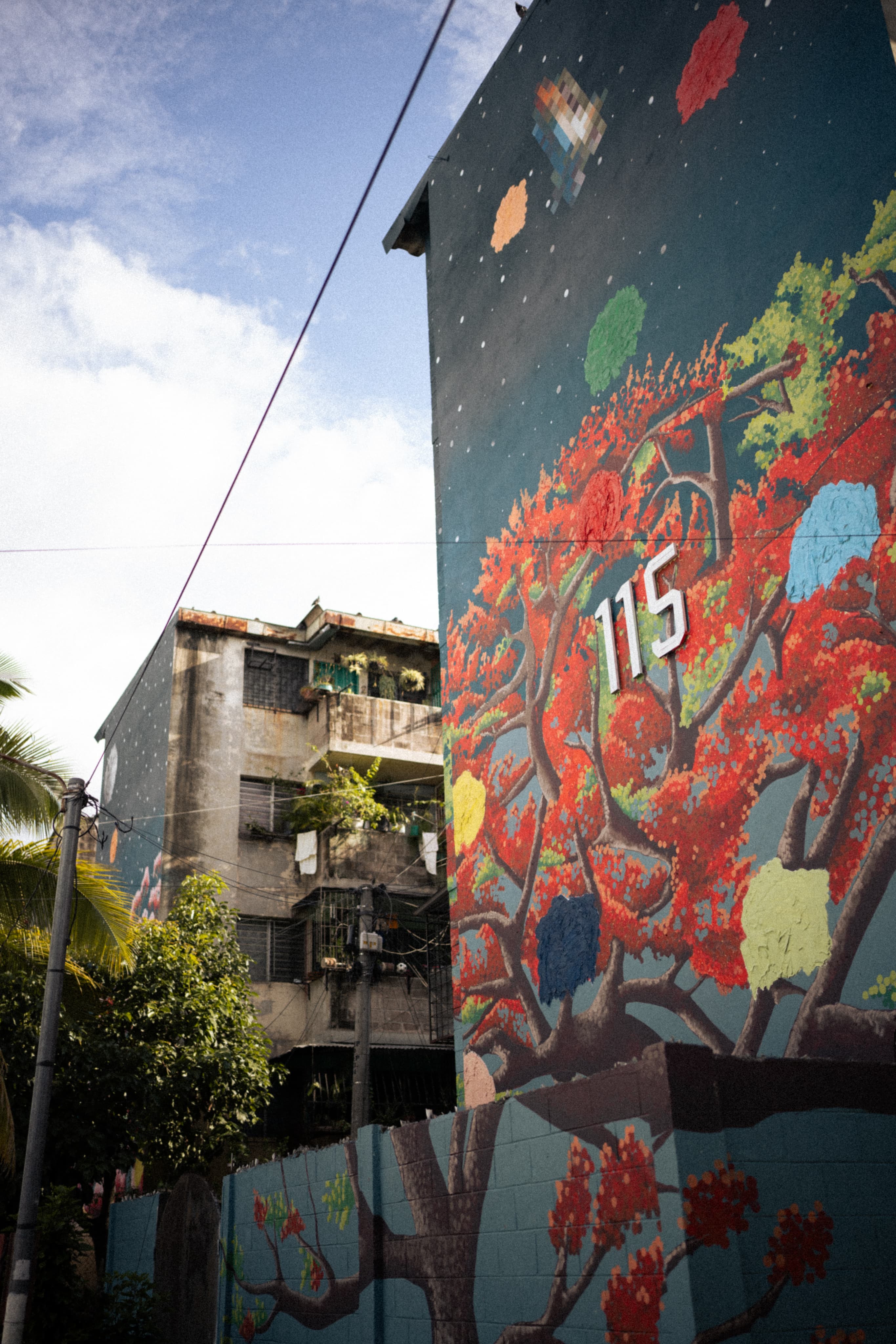 Fire Tree image 1